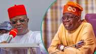 “Tinubu will secure re-election in 2027”: Umahi declares, explains role of southeast