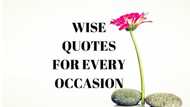 Motivating wise quotes for every occasion