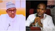 Nnamdi Kanu: Southeast elders makes another tough request to Buhari