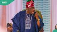 Student loan: Tinubu's team provides answers to frequently asked questions about newly signed scheme
