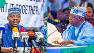 Insecurity: Tinubu told to take 2 actions over Nigeria's woes