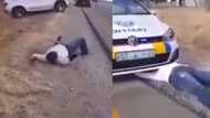 Video of man behaving like a snake set social media on fire as people believe it's repercussion for money ritual