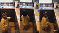 "Alexa, play me Baby Shark": Kid faces tech speaker, shows disappointment in video