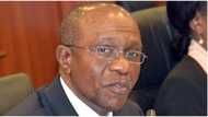 CBN should ban more imported goods being produced locally, Nigeria's monetary authority says