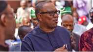 2023 Presidency: Why Nigerians should vote for me, Peter Obi gives 1 strong, powerful reason