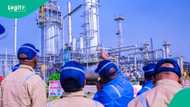 Energy expert claims Nigeria still imports 1 billion litres of petrol blended in Malta monthly