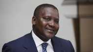 The story of Aliko Dangote education and career success