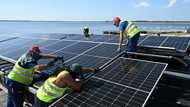 Red tape and rare earths: EU 'compass' charts economic future