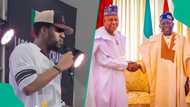 2027: Rare clip of Shettima's son drumming support for Tinubu's re-election in Lagos emerges online