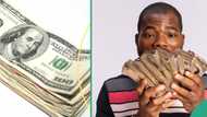 “How the CBN’s new regulation for BDCs will impact the sector”: Nigerian man breaks silence