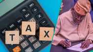 Double taxation explained: Do Nigerians abroad pay tax in two countries? 10 things to know
