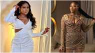 "You stress me this year, you disappear": Sophia Momodu declares, her new video leaves fans talking