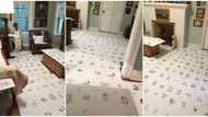 Man makes 400 drawings for each day he didn't go out, 'scatters' room with it, beautiful photos cause stir