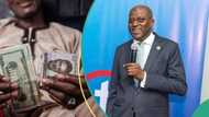 More good news for Naira as CBN clears forex debt, dealers react with new exchange rate