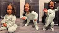 "No bills to pay": Sad baby jumps up & dances when mum plays Kizz Daniel's Rich Till I Die