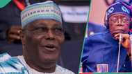 Atiku blasts Tinubu for appointing 5 new aides: “1,000 media advisers can’t save you”