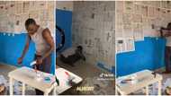 "I love it": Man arranges many old newspapers on wall to beautify his room, flaunts fine interior