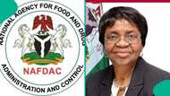 NAFDAC issues clarification as 40 die after drinking monkey tail in Ondo