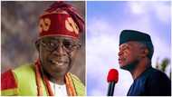 2023 Presidency: No PDP candidate can defeat Tinubu, Osinbajo, APC chieftain declares
