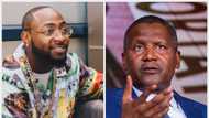 "2 cars every 8 years": Davido shares financial advice Aliko Dangote gave him on managing his money