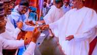 Sanwo-Olu, 16 other governors, 5 ministers to chair APC convention sub-committees