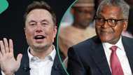 Elon Musk makes $11b overnight as Dangote loses N43.4bn in one day, remains among top 100 billionaires