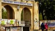 How Bayero University Kano reportedly translated physics, maths, chemistry books into Hausa to aid learning