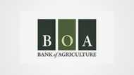 Bank of Agriculture loan application requirements and procedure