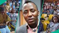 Sowore’s AAC kicks off presidential primary in Abuja as activist makes key leadership decision