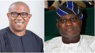 Labour Party reacts as Ex-deputy speaker Yusuf dumped Peter Obi for PDP, declares support for Atiku