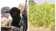Tears as new born baby faces death threat in bandits ridden northern state