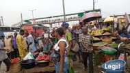 Legit.ng weekly price check: Top 8 goods whose cost prices have dropped in Lagos market this January