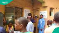 Jubilation as INEC declares winner in Bwari Area Council
