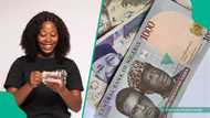 Naira reacts on parallel market as global oil prices rebound, analysts give reasons