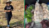 Lady becomes farmer after losing job, she makes it, her big harvests get praises