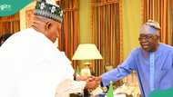 Photo trends as Shettima briefs Tinubu on state affairs after president’s 2-week vacation