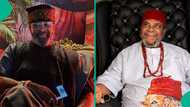 Yemi Solade brags of being Pete Edochie's senior in acting: "Stop dragging him into your insecurity"