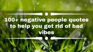 100+ negative people quotes to help you get rid of bad vibes