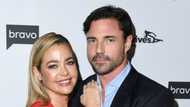 Facts about Aaron Phypers, Denise Richards current husband