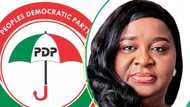 BREAKING: PDP suspends local election campaign, gives reasons