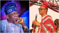 Atiku, Tinubu, Obi: Winner finally emerges at LP campaign DG's local government