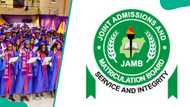 JAMB subject combination for architecture 2025/2026: Updated list of subjects and requirements