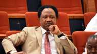 Breaking: Shehu Sani reportedly arrested, reason given