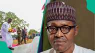 Buhari's Death: Nigerian governors extol ex-president's legacy, "Leader with profound moral courage"