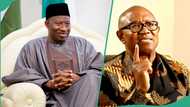 Jonathan or Peter Obi? PDP speaks on “North’s best choice” ahead of 2027 election