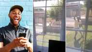 Moment robber waved at occupant after he was caught attempting to break into a house stirs hilarious reactions