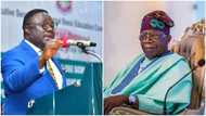 2023 Presidency: Why it's right for Tinubu to declare interest, Ayade reveals, gives condition to support APC leader