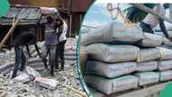 Cement prices in Nigeria: How much Dangote, BUA 50kg bags cost in Lagos, Abuja, Kano, Ibadan