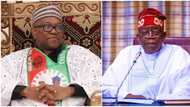 Labour Party replies President Tinubu on claim that his removal from office will lead to anarchy