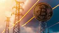 2025 financial growth secrets: Mobile phones lead the future of independent income